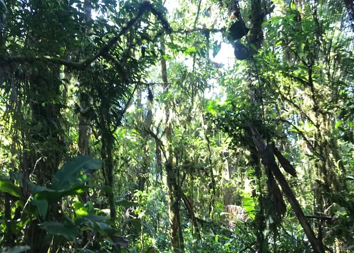 Chale Vista Exuberante Na Serrinha Do Alambari